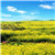 trx闪租