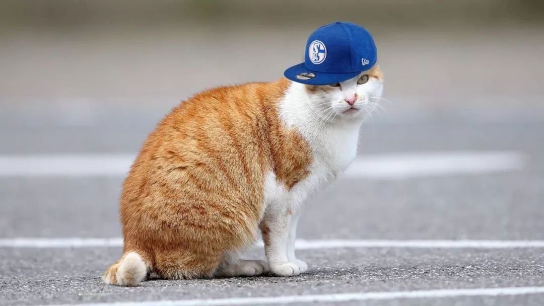 九游礼包-德国杯清晨走向成谜，罗马内部沟通，球迷炸锅，心理建设被强调的简单介绍