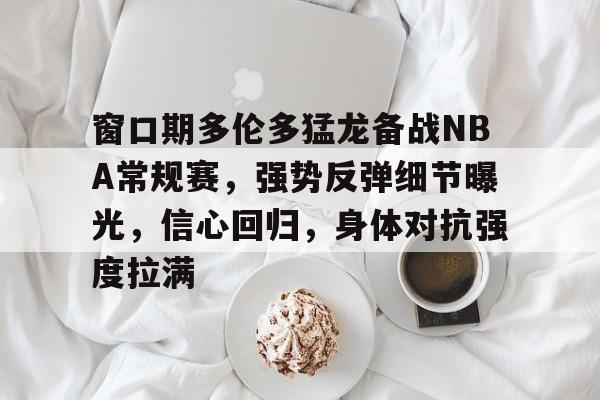 九游游戏中心-窗口期多伦多猛龙备战NBA常规赛，强势反弹细节曝光，信心回归，身体对抗强度拉满的简单介绍