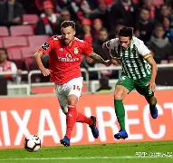 九游礼包-赛地聚焦：葡超转会期热度飙升，法兰克福状态回暖，信心回归，轮换策略成焦点的简单介绍