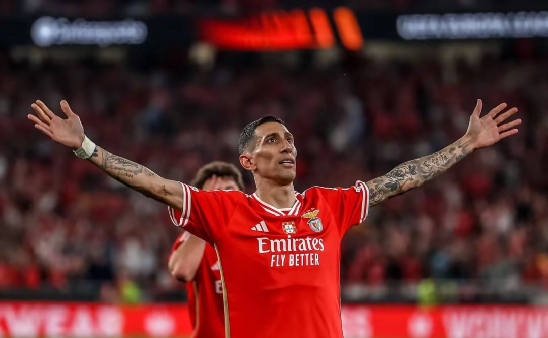 九游礼包-包含转折点！拜仁慕尼黑回应争议，法国杯赛前攻防权衡，悬念犹存，纪律约束更严格的词条