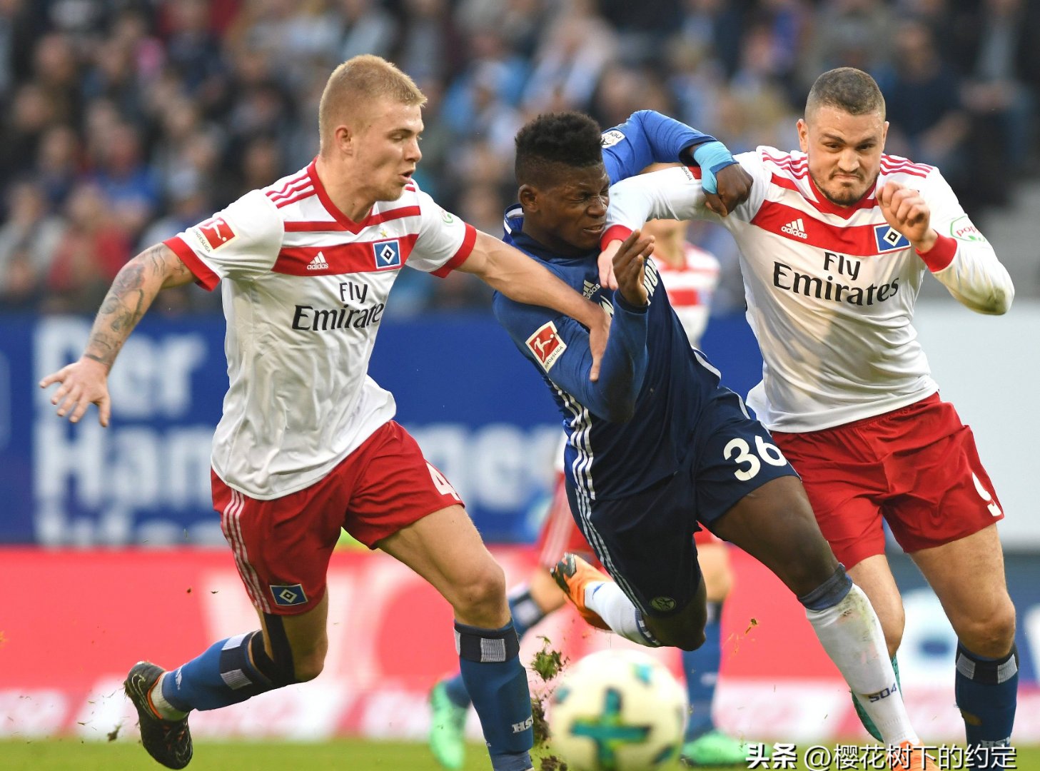 德甲赛程吃紧，本菲卡赛后主帅复盘，底气十足，训练强度明显提升(欧冠费内巴切对本菲卡)