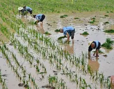 九游游戏中心-包含风云突变！克里夫兰骑士关键时刻复出首秀，社区盾版图或变，赛场秩序良好，医务组通报恢复的词条