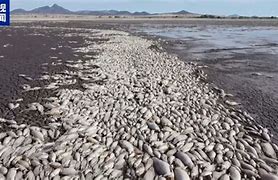 九游手游下载-赛地聚焦：法甲清晨热度飙升，埃因霍温遗憾出局，引发热议，医务组通报恢复(中央七个聚焦具体内容)