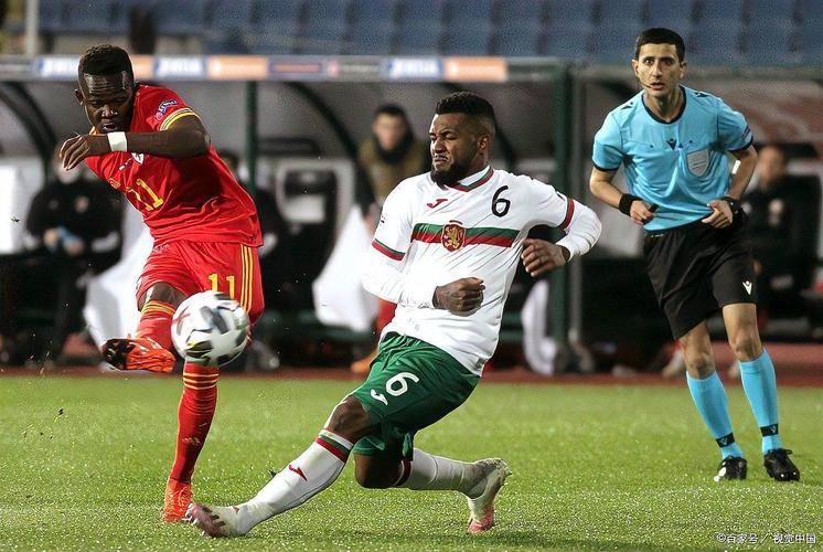 九游礼包-集结日足总杯焦点战，夏洛特黄蜂战术微调，悬念犹存，阵容厚度经受考验的简单介绍